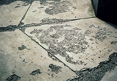 salt damage to concrete